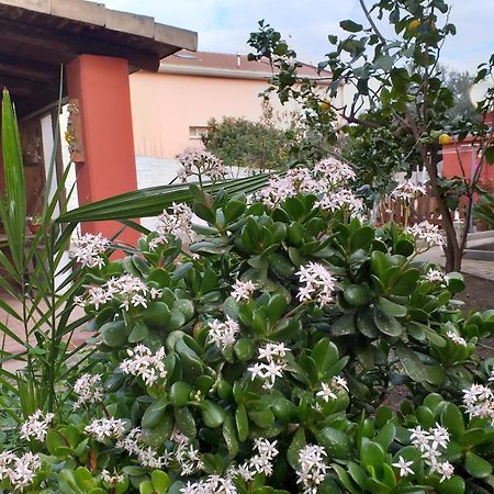 I Due Ciuchini Sardinia Διαμέρισμα Σάσαρι Εξωτερικό φωτογραφία