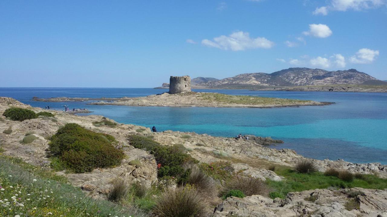 I Due Ciuchini Sardinia Διαμέρισμα Σάσαρι Εξωτερικό φωτογραφία
