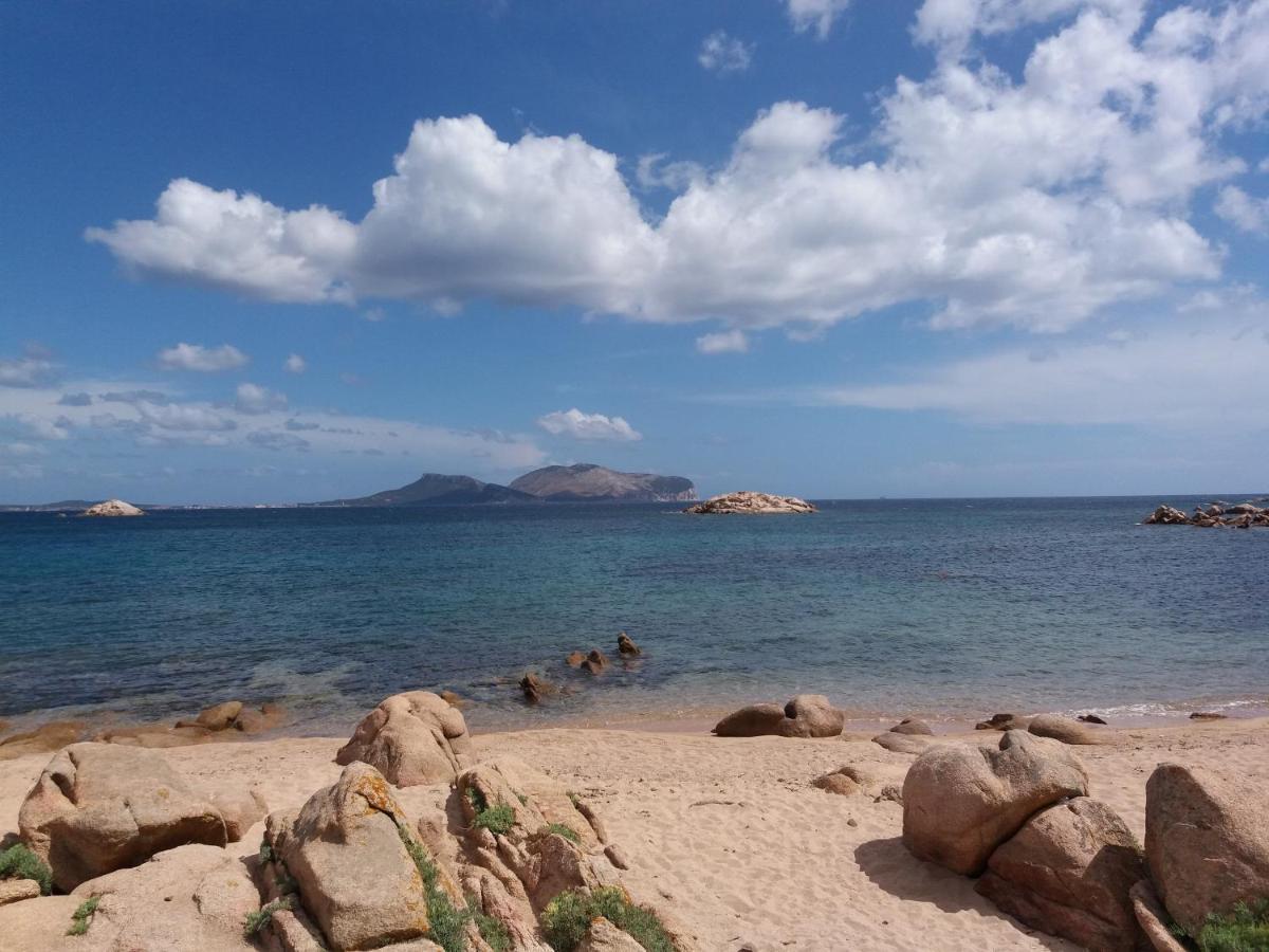 I Due Ciuchini Sardinia Διαμέρισμα Σάσαρι Εξωτερικό φωτογραφία